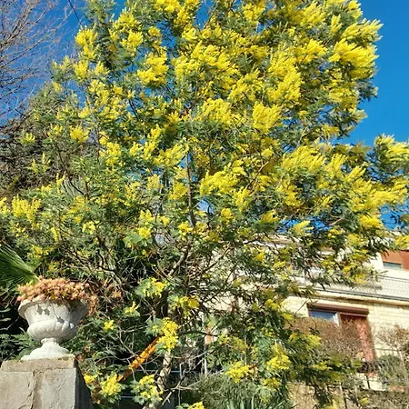 Ana Apartman Opatija