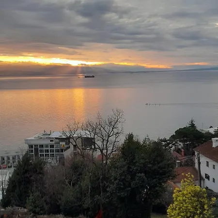 Ana Οπατία