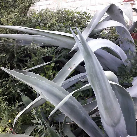 Apartman Ana Opatija