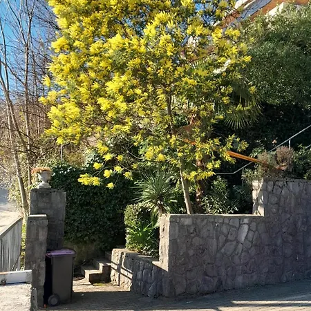 Apartament Ana